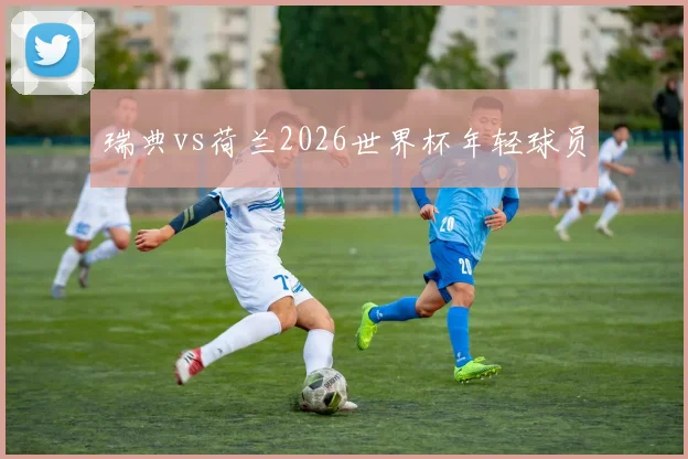 瑞典vs荷兰2026世界杯年轻球员
