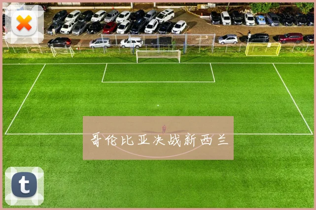 哥伦比亚决战新西兰