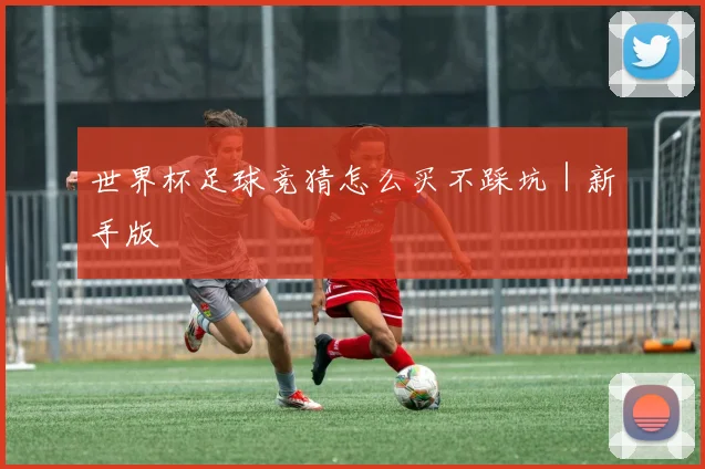 世界杯足球竞猜怎么买不踩坑｜新手版