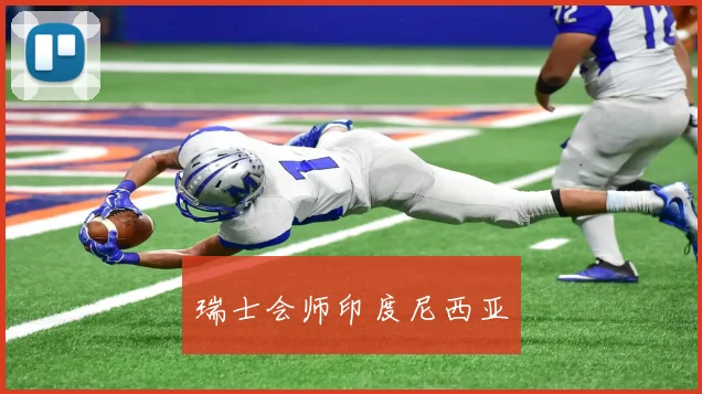 瑞士会师印度尼西亚