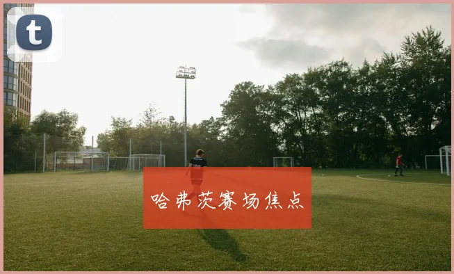 哈弗茨赛场焦点